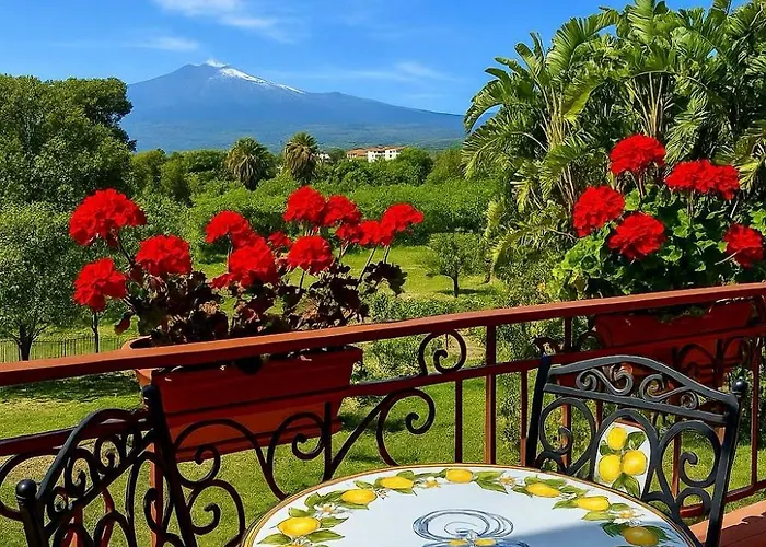 Iris Maison d'hôtes